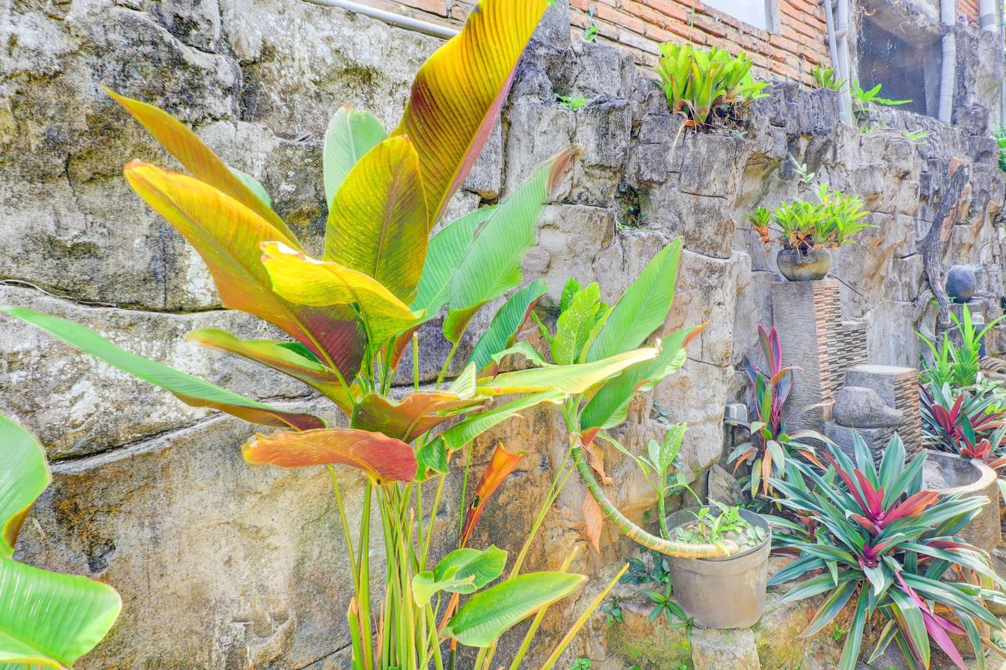 Hotel O Ubud Asri Homestay Near Monkey Forest Esterno foto